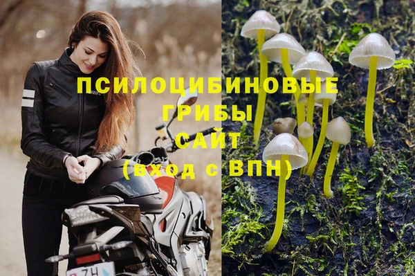 мескалин Алексин