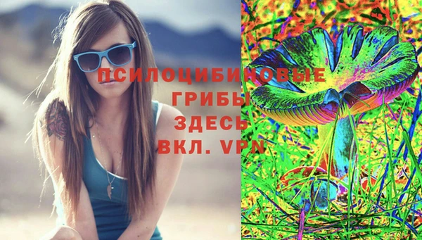 мескалин Алексин